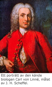 Carl_Linnaeus