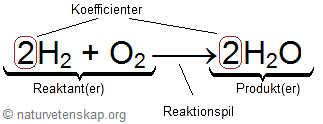 Figur som visar en rekationsformels olika delar.