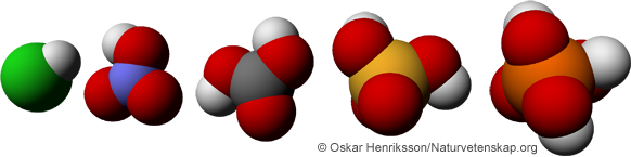 Molekylmodeller för väteklorid, salpetersyra, kolsyra, svavelsyra och fosforsyra.